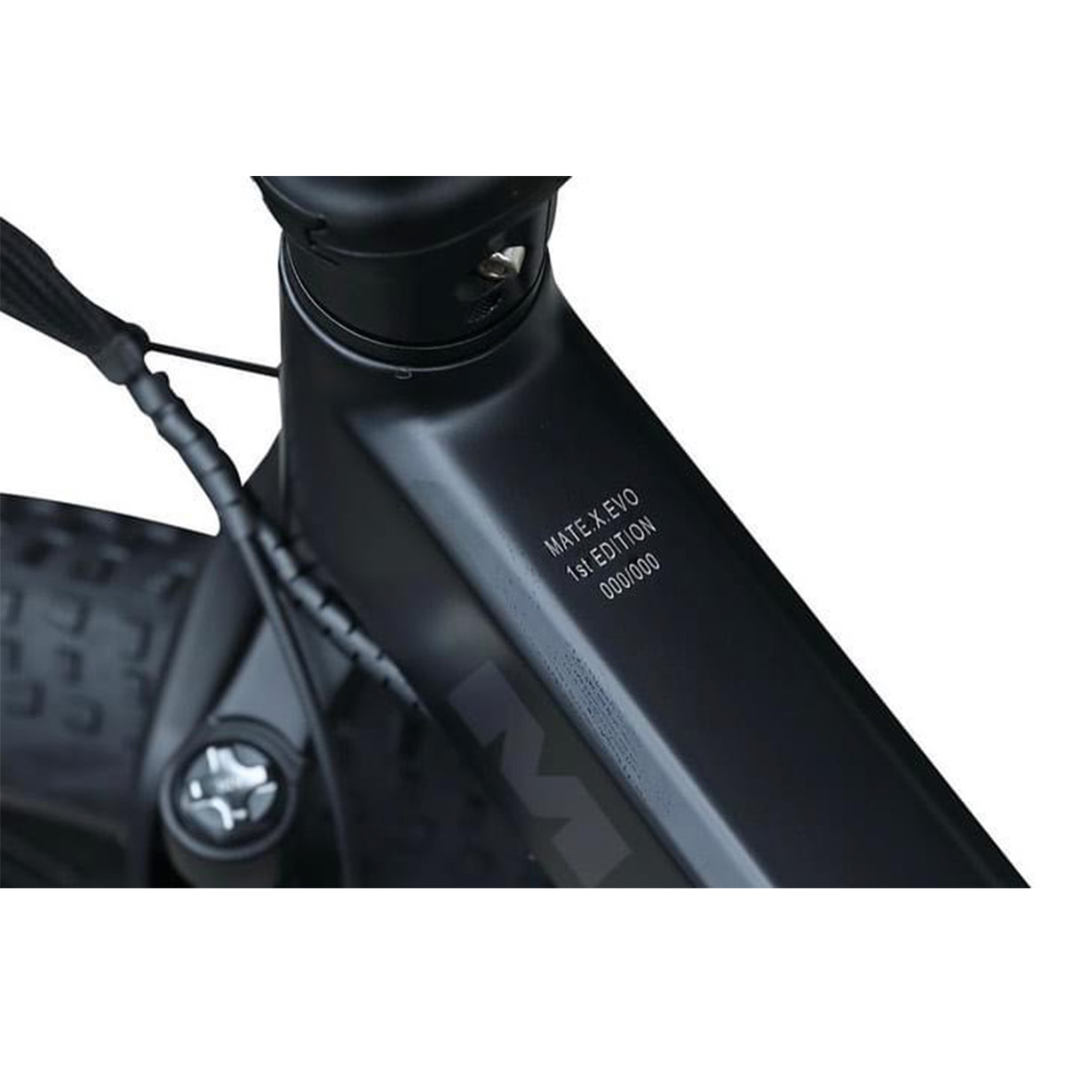 Mate X Evo E-Bike
