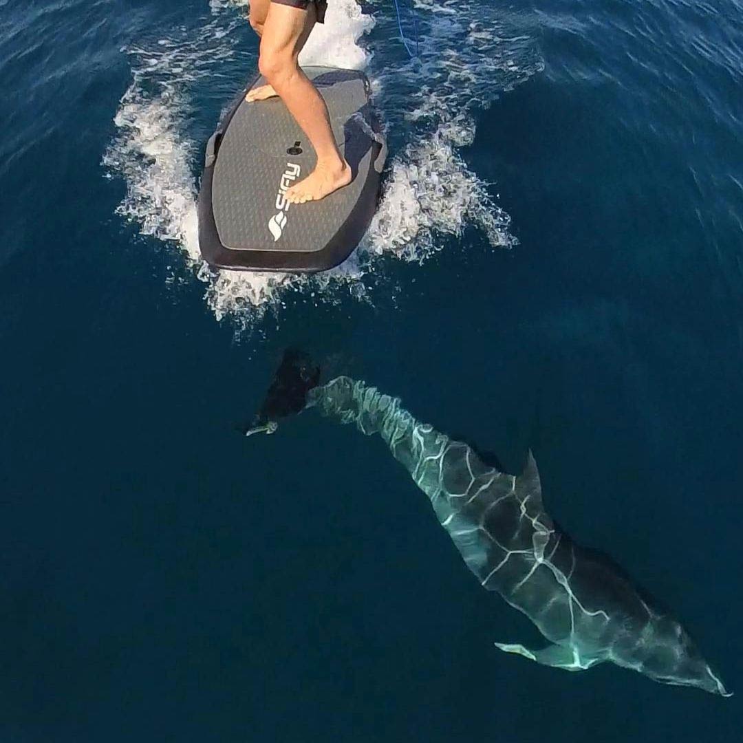 Sifly Surfboard im Meer