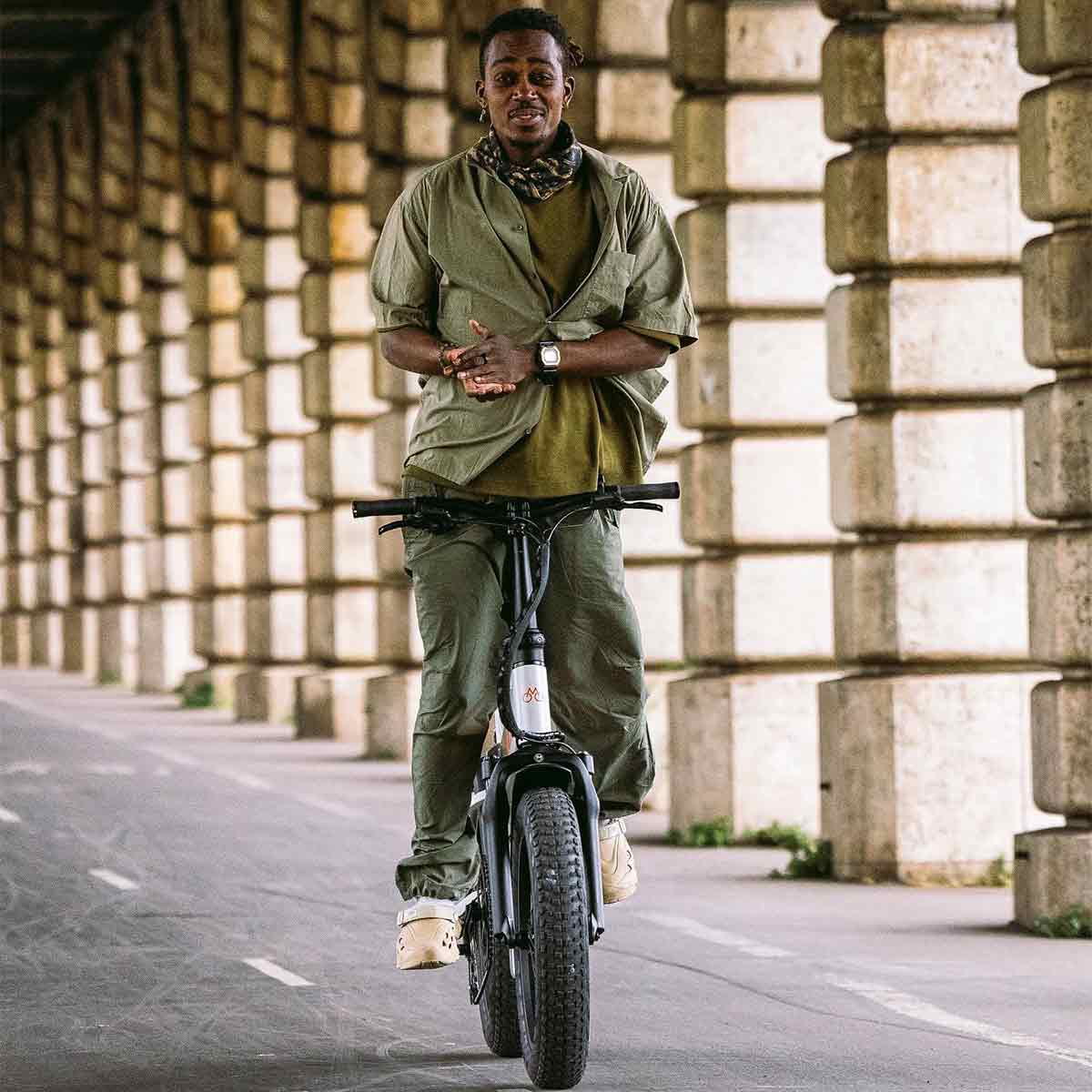 Mate X Evo electronic bike