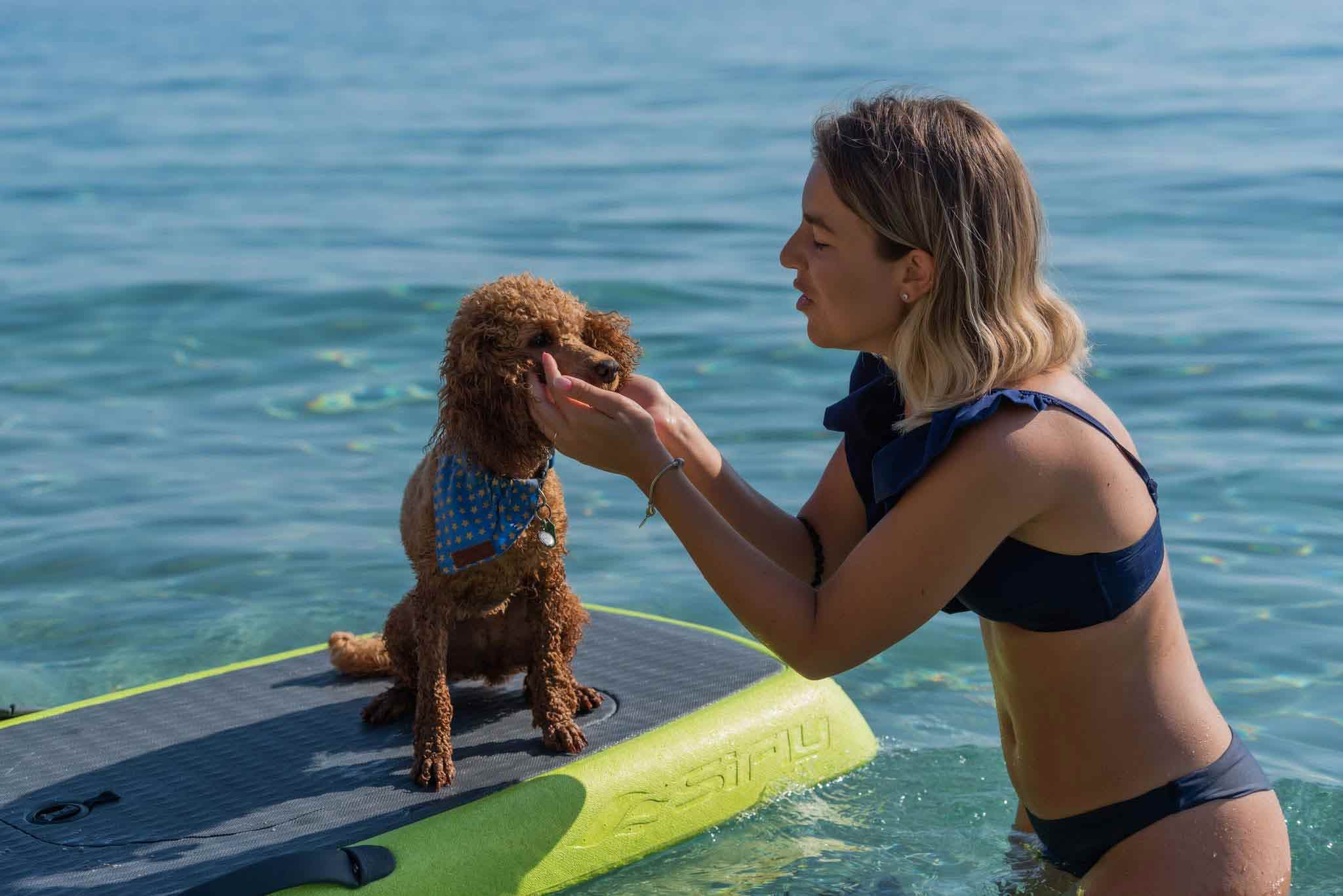 Hund auf E-Surfboard