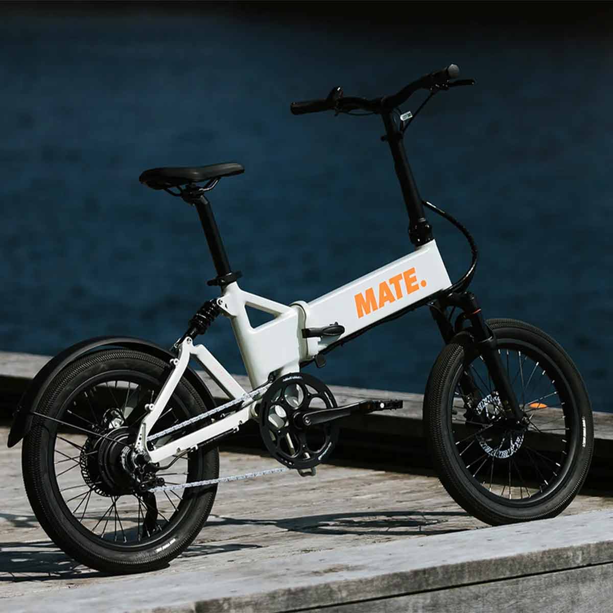 Mate Fusion E-Bike am See