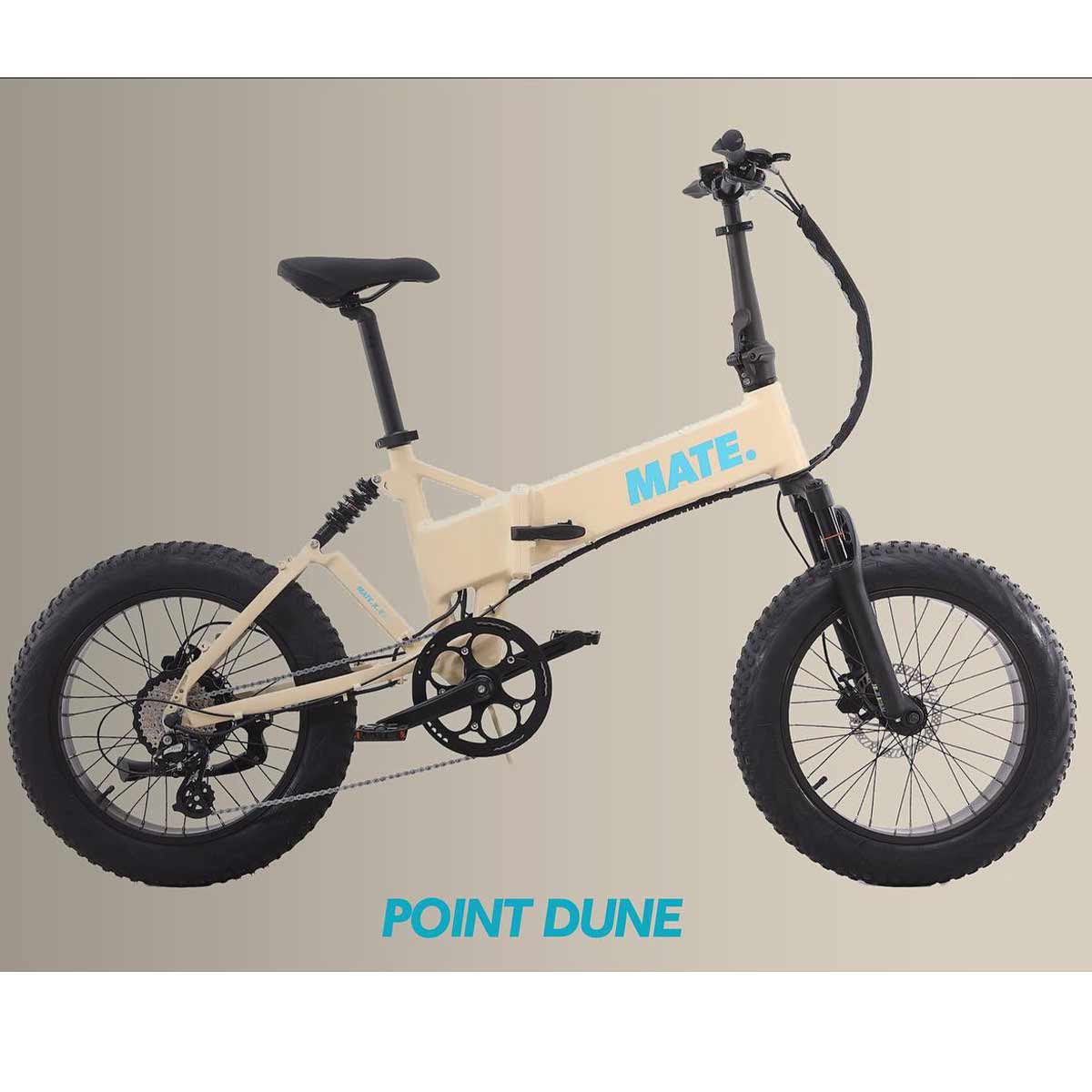 Mate X Evo in Point Dune