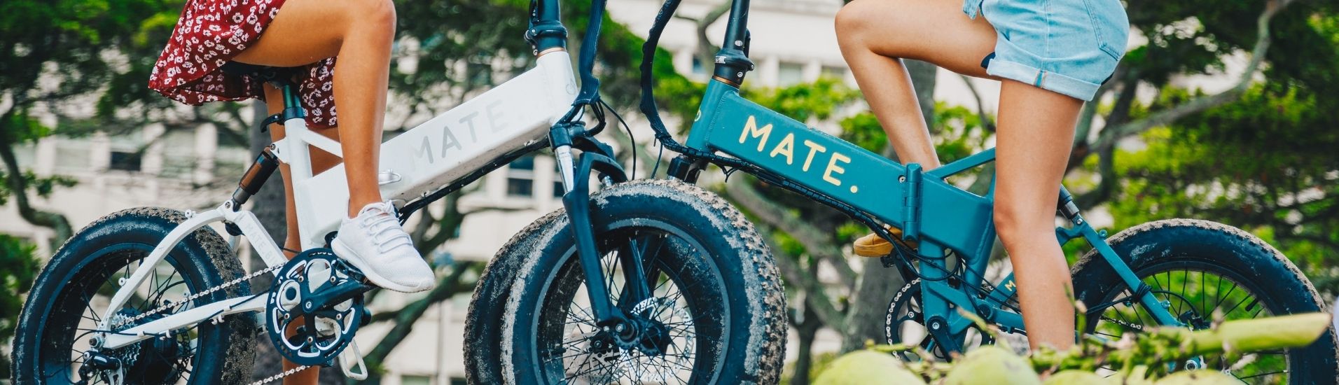 MATE X E-Fatbike weiß und türkis