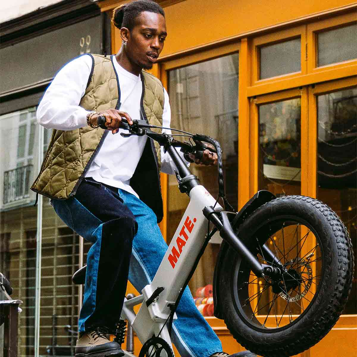 Mate X Evo EBike