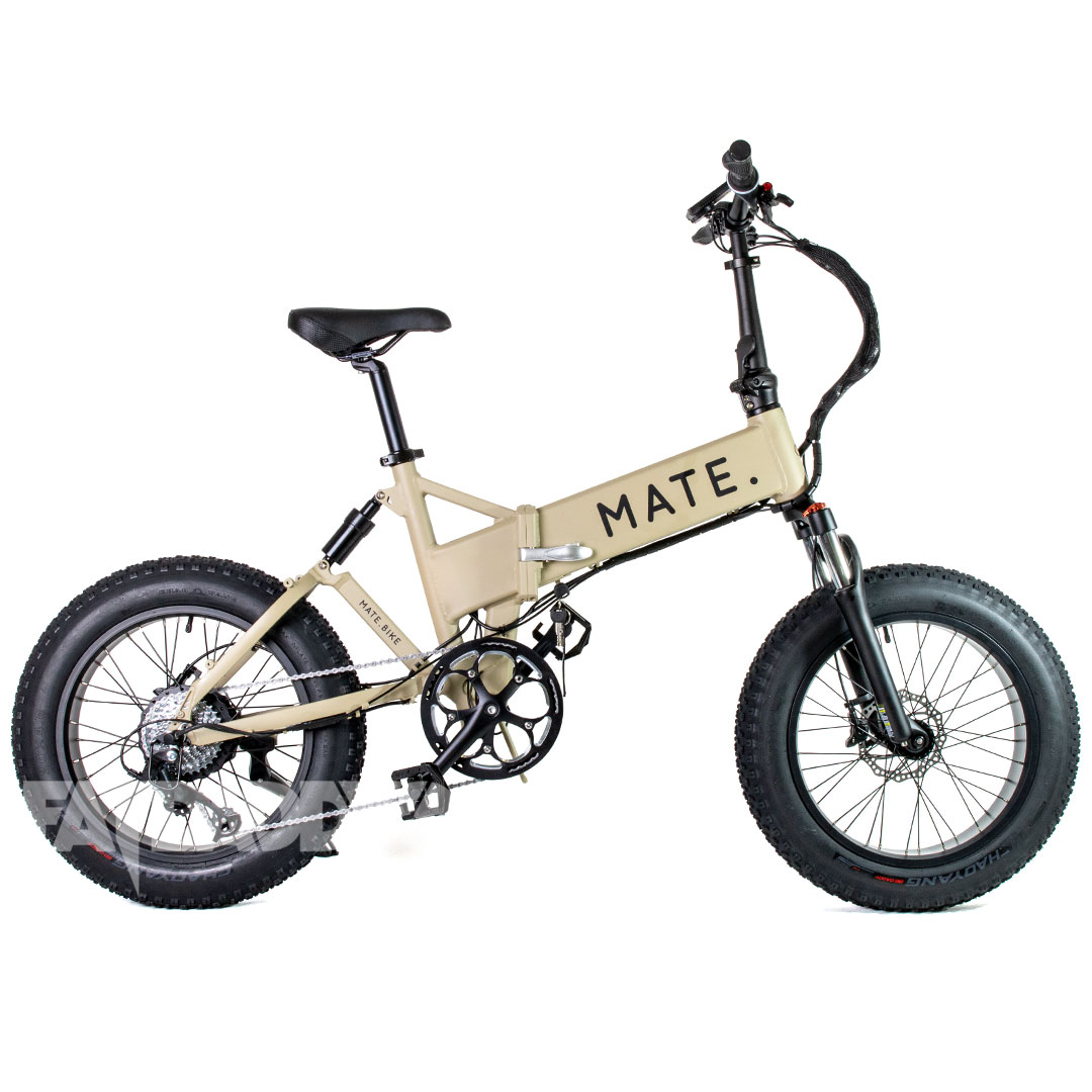Mate-x-750-desert-storm_3