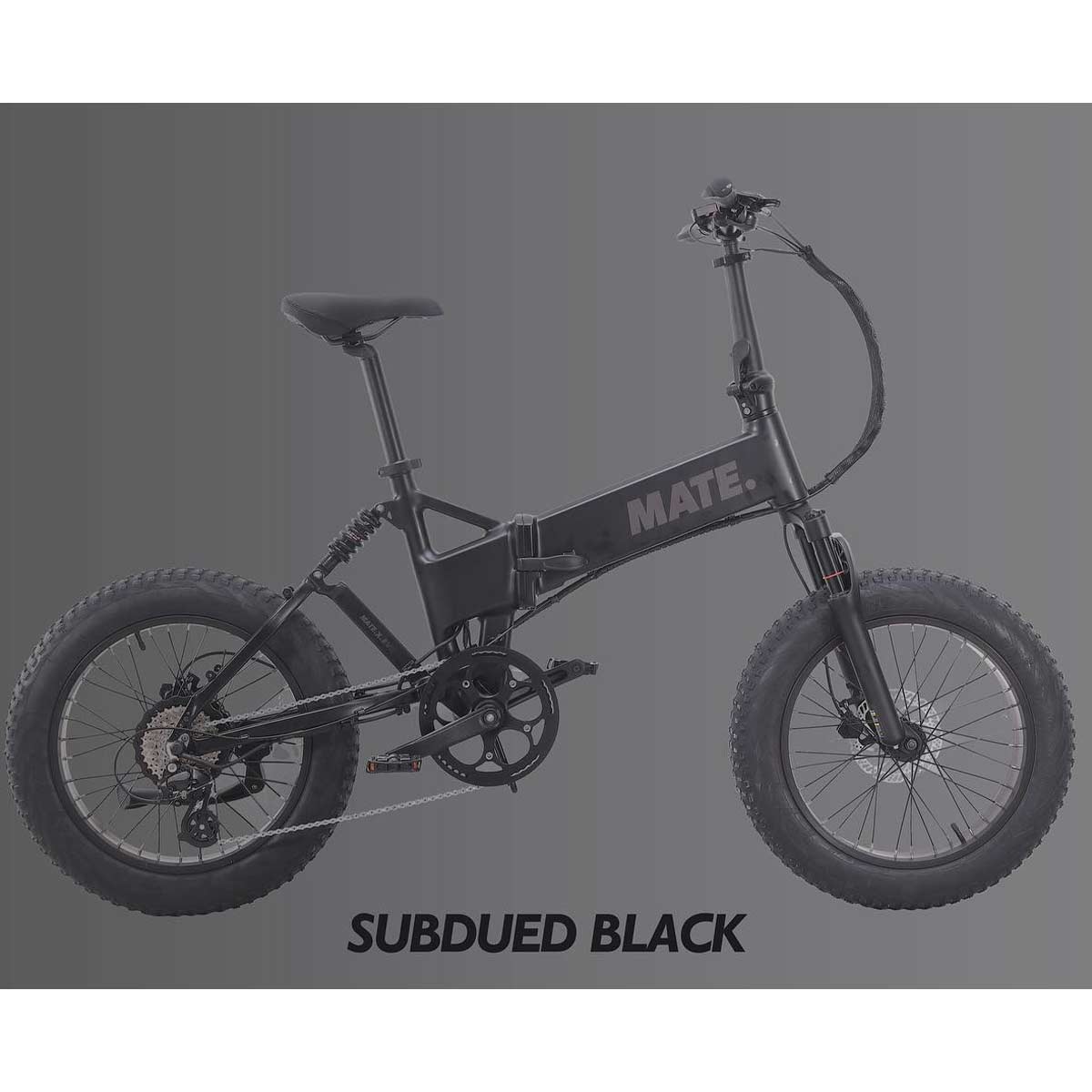 Mate X Evo in Subdued Black