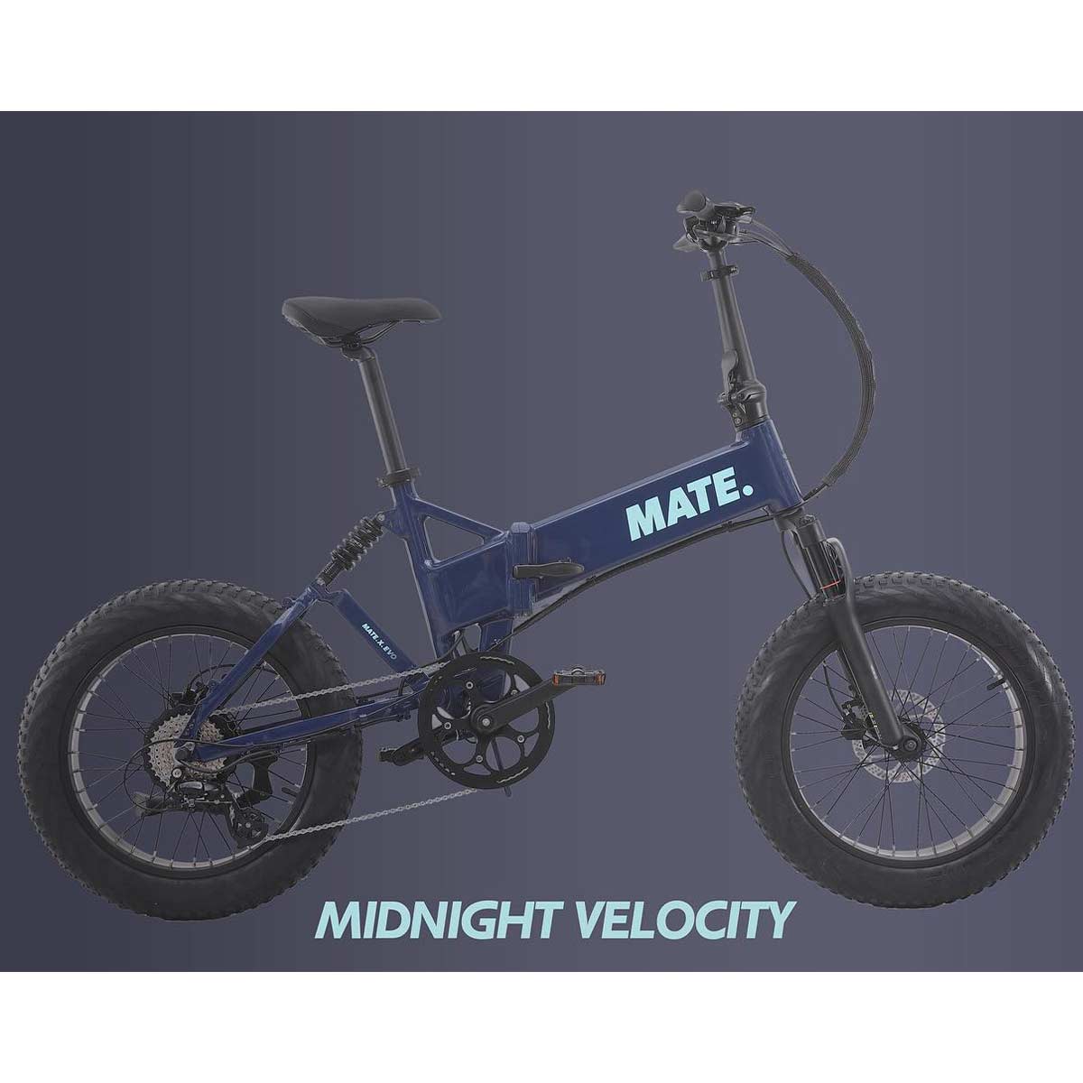 Mate X Evo in Midnight Velocity