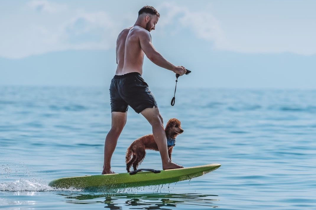 E-Surfboard mit Hund