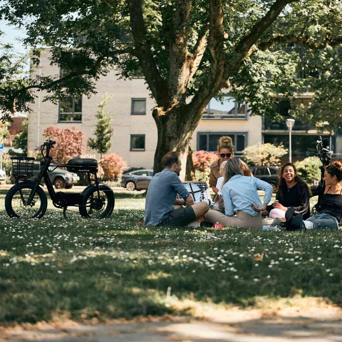 Phatfour E-Bike Front Gepäckträger