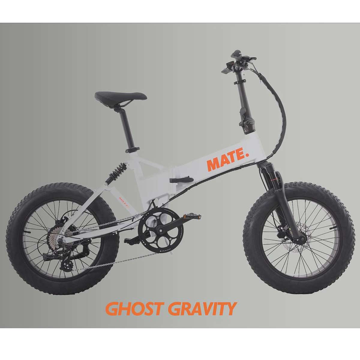 Mate X Evo in Ghost Gravity